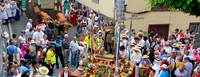 romería-san-isidro-guía-de-isora.png